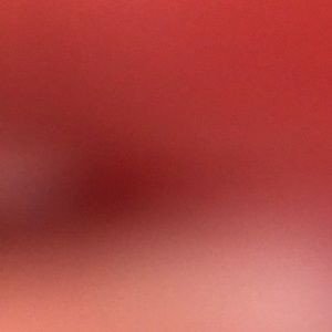 Meet your Posher, Travis